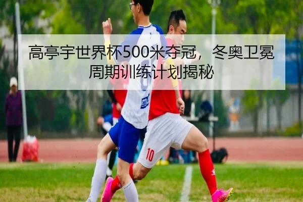 高亭宇世界杯500米夺冠，冬奥卫冕周期训练计划揭秘