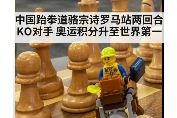 中国跆拳道骆宗诗罗马站两回合KO对手 奥运积分升至世界第一